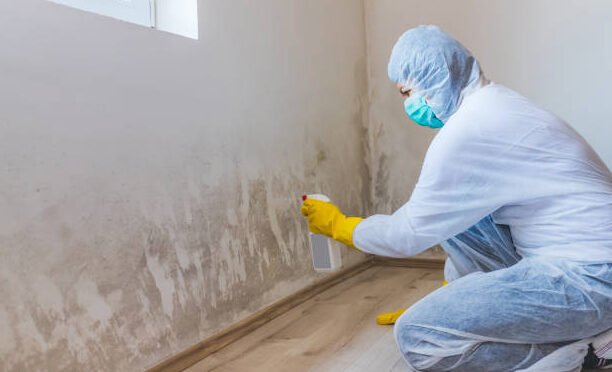 How To Prevent Floor Mould After Flooding? Act Fast Before It Spreads
