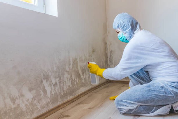 Mould inspection in Sydney professionals recommend aggressive drying strategies.